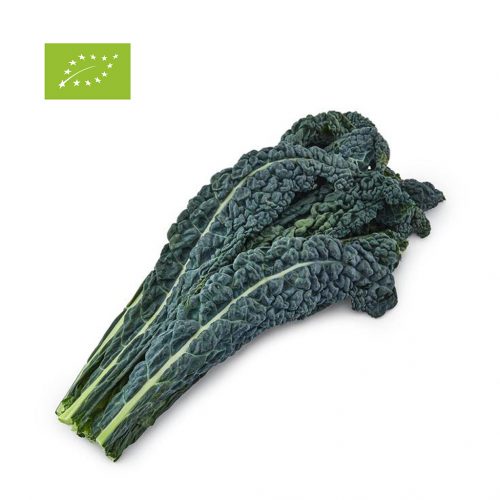 Cavolo nero BIO