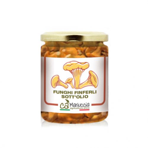 FUNGHI FINFERLI