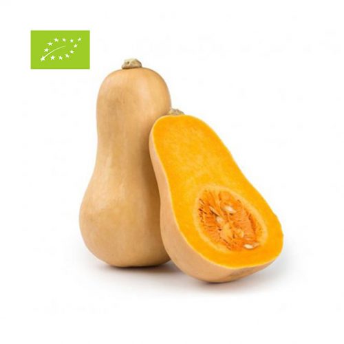 zucca butternut BIO