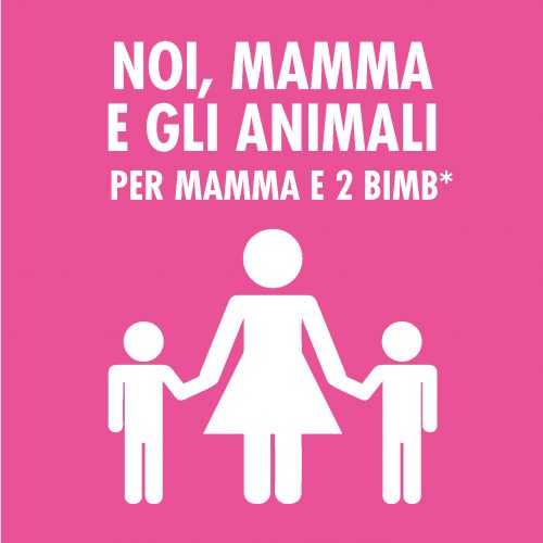 Experience Mamma 2 bimbi